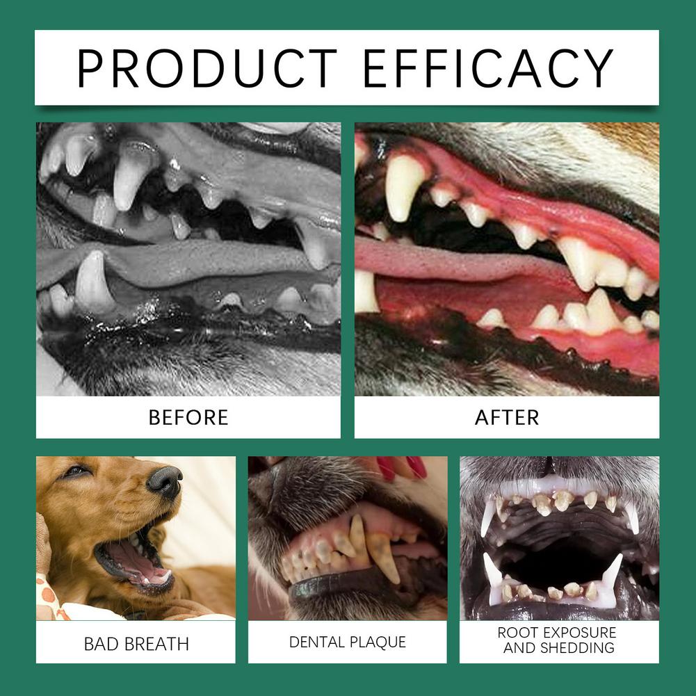 Zahnpflegepulver für Hunde, en – Teeth Whitening Near Me Bewertung und Preis